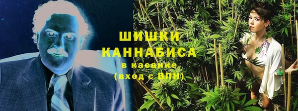 соль ск Надым