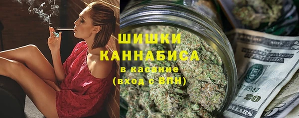 шишки Аша