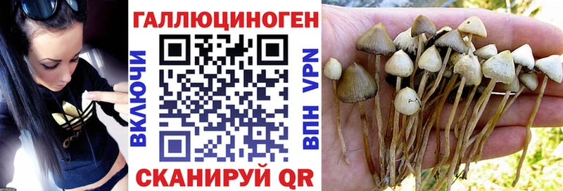 Галлюциногенные грибы ЛСД  купить наркотики сайты  Котовск 