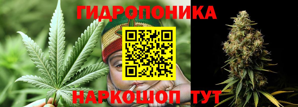 Котовск  МАРИХУАНА тримм  Каннабис SATIVA & INDICA  Вход с VPN 